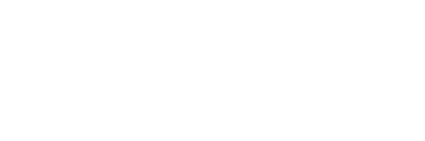 Pleiades Consultancy