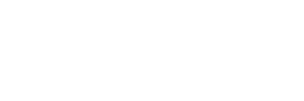 Sales Automation Systems